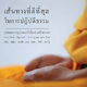 โครงการอุปสมบทหมู่ รุ่น พระพี่เลี้ยงเข้าพรรษา 2561 โครงการอุปสมบทหมู่ รุ่น พระพี่เลี้ยงเข้าพรรษา 2561