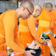 วัดพระธรรมกายยามานาชิ จัดตักบาตรวันออกพรรษา วัดพระธรรมกายยามานาชิ จัดตักบาตรวันออกพรรษา
