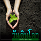 วันดินโลก ( World Soil Day) วันดินโลก ( World Soil Day)