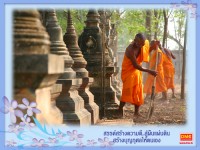 card 28