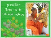 card 29