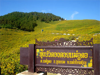 ตักบาตร ทุ่งบัวตอง แม่ฮ่องสอน ตักบาตร ทุ่งบัวตอง แม่ฮ่องสอน