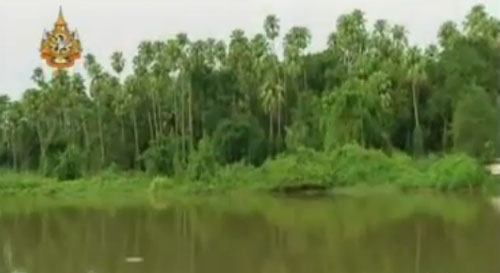 ป่าคำชะโนด, ตำนานพญานาค ป่าคำชะโนด, ตำนานพญานาค