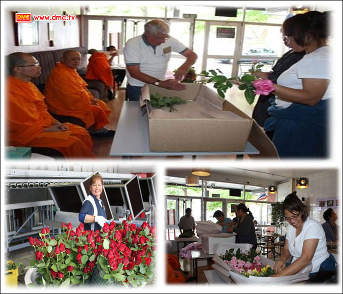 รวมใจไทย เมารี นิวซีแลนด์ เตรียมกุหลาบอย่างละเมียดละไมทุกขั้นตอน รวมใจไทย เมารี นิวซีแลนด์ เตรียมกุหลาบอย่างละเมียดละไมทุกขั้นตอน