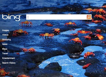 Bing  บริการค้นหาจาก Microsoft ที่หลายๆ คนให้ความสนใจ