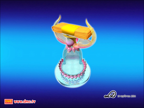 ผ้าป่าธรรมชัย วัดพระธรรมกาย