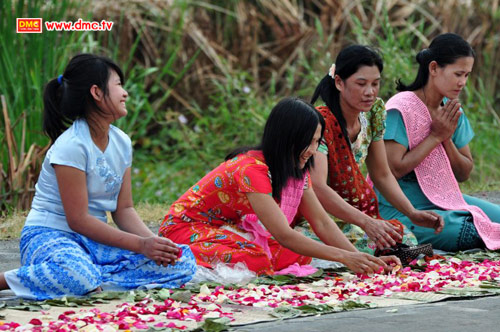 แนวการโปรยกลีบกุหลาบ แนวการโปรยกลีบกุหลาบ