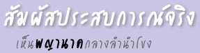 สัมผัสประสบการณ์จริง เห็น<a href=http://video.dmc.tv/programs/naka.html title='พญานาค' target=_blank><font color=#333333>พญานาค</font></a>กลางลำน้ำโขง