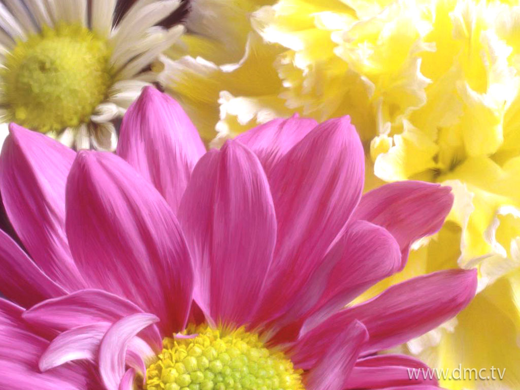 flower-330 flower-330