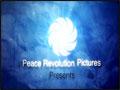 Peace Revolution Peace Agent Bolivia