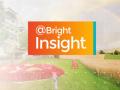 @Bright Insight 9/4/2564