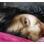 iinGiinG's รูปภาพ