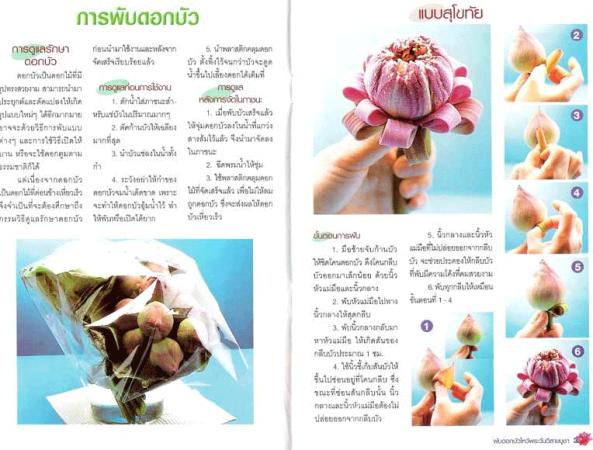 รูปแนบ