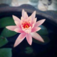 kan kan's รูปภาพ