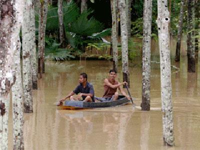 พายเรือยามน้ำท่วม