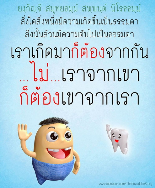 My Image 6