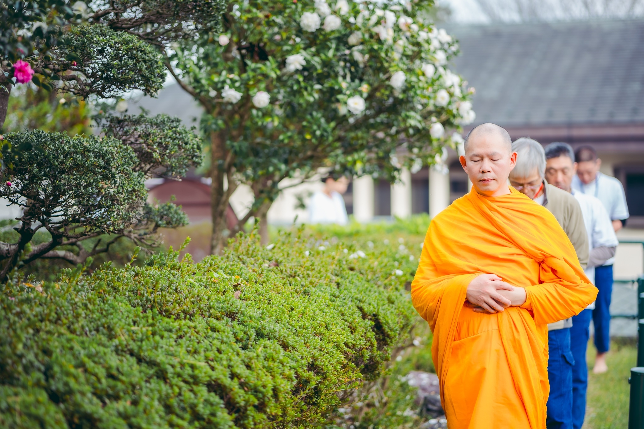 วัดป่าธรรมกายนานาชาติโทชิหงิ จัดปฏิบัติธรรมสุดสัปดาห์