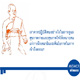 การดูแลสุขภาพกายและสุขภาพใจให้เหมาะสมแก่การฝึกสมาธิและเพิ่มโอกาสในการเข้าถึงธรรม