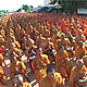 พิธีตักบาตรพระนานาชาติ 2,100 รูป ตลาดโรงเกลือ