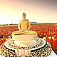 แนะนำเส้นทางตักบาตร ทุ่งเฟื่องฟ้า สุพรรณบุรี