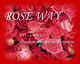 ROSE WAY กว่าจะมาเป็นเส้นทางที่โรยด้วยกลีบกุหลาบ ROSE WAY กว่าจะมาเป็นเส้นทางที่โรยด้วยกลีบกุหลาบ
