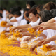 ธุดงค์ธรรมชัย ปีที่ 3 วันที่ 2 - 28 มกราคม พ.ศ. 2557 ธุดงค์ธรรมชัย ปีที่ 3 วันที่ 2 - 28 มกราคม พ.ศ. 2557