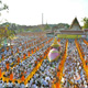ธรรมยาตรา กตัญญูบูชา มหาปูชนียาจารย์ พระผู้ปราบมาร อนุสรณ์สถาน 7 แห่ง ปีที่ 5 วันเสาร์ที่ 9 มกราคม พ.ศ. 2559