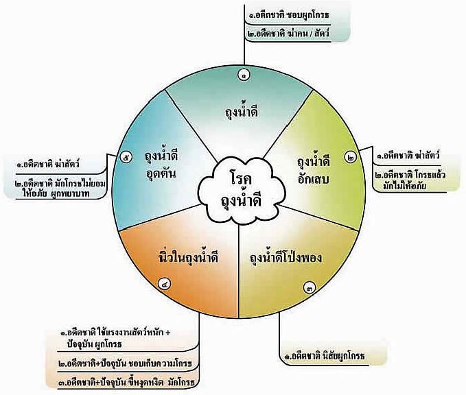 My Image 11