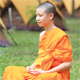 โครงการบวชของวัดพระธรรมกาย โครงการบวชของวัดพระธรรมกาย