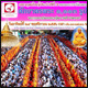ตักบาตรจอมทองพระ 1,113 รูป บริเวณลาดหน้าวัดพระธาตุศรีจอมทองวรวิหาร ตักบาตรจอมทองพระ 1,113 รูป บริเวณลาดหน้าวัดพระธาตุศรีจอมทองวรวิหาร