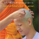 โครงการบวชพระเข้าพรรษา ปี 2559 โครงการบวชพระเข้าพรรษา ปี 2559