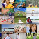ขอเชิญชวนสาธุชนและลูกพระธัมฯทั่วโลก กับทำกิจกรรมพิเศษ ขอเชิญชวนสาธุชนและลูกพระธัมฯทั่วโลก กับทำกิจกรรมพิเศษ