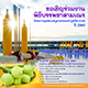 พิธีบรรพชาสามเณร โครงการอุปสมบทบูชาธรรมมหาปูชนียาจารย์ ปี 2565