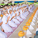 โครงการสามเณรมัชฌิมธรรมทายาท รุ่นที่ 27 (ภาคฤดูร้อน)