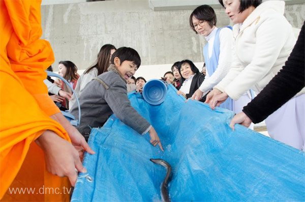 วัดพระธรรมกายโอซาก้า ประเทศญี่ปุน จัดงานวันมาฆบูชา