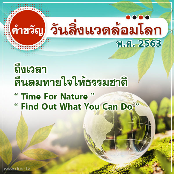 My Image 5