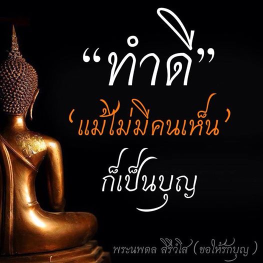 My Image 33